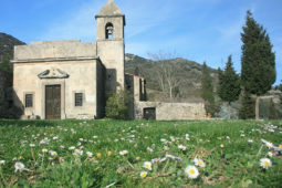Isola d'Elba