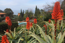 Giardino Hotel Cernia