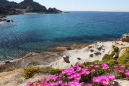 Isola d'Elba